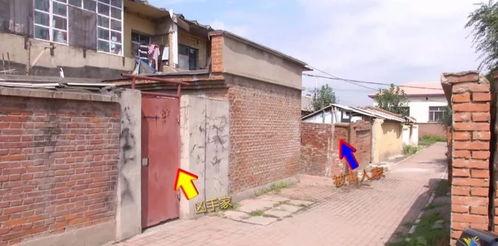 彩塘违建最新爆料信息,揭秘违规建筑背后的惊人真相